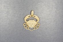 14 karaat gouden Krab ketting hanger - 3 cm